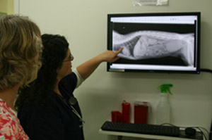 X-ray diagnostics